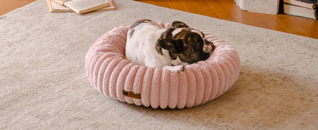 MEWOOFUN Small Dog & Kitten Bed – Washable