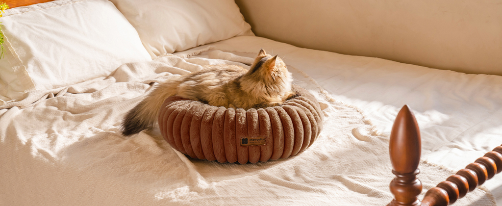 MEWOOFUN Small Dog & Kitten Bed – Washable