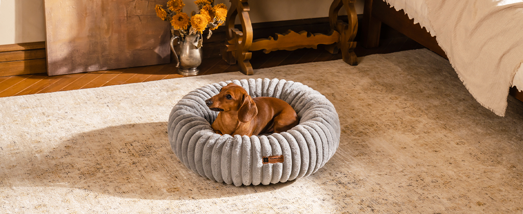 MEWOOFUN Small Dog & Kitten Bed – Washable